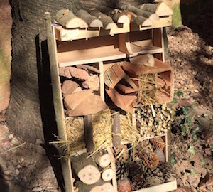 La maison des insectes, Mon mercredi architecture avec le CAUE 25