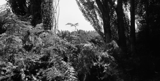 Alain Ceccaroli, Photographie Besançon les Amis